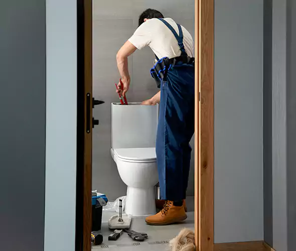 Professional Plumbers for Toilet Bowl Replacement in Hemet, CA: Schedule Affordable Toilet Replacement Services With Us